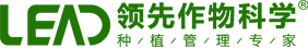 領(lǐng)先